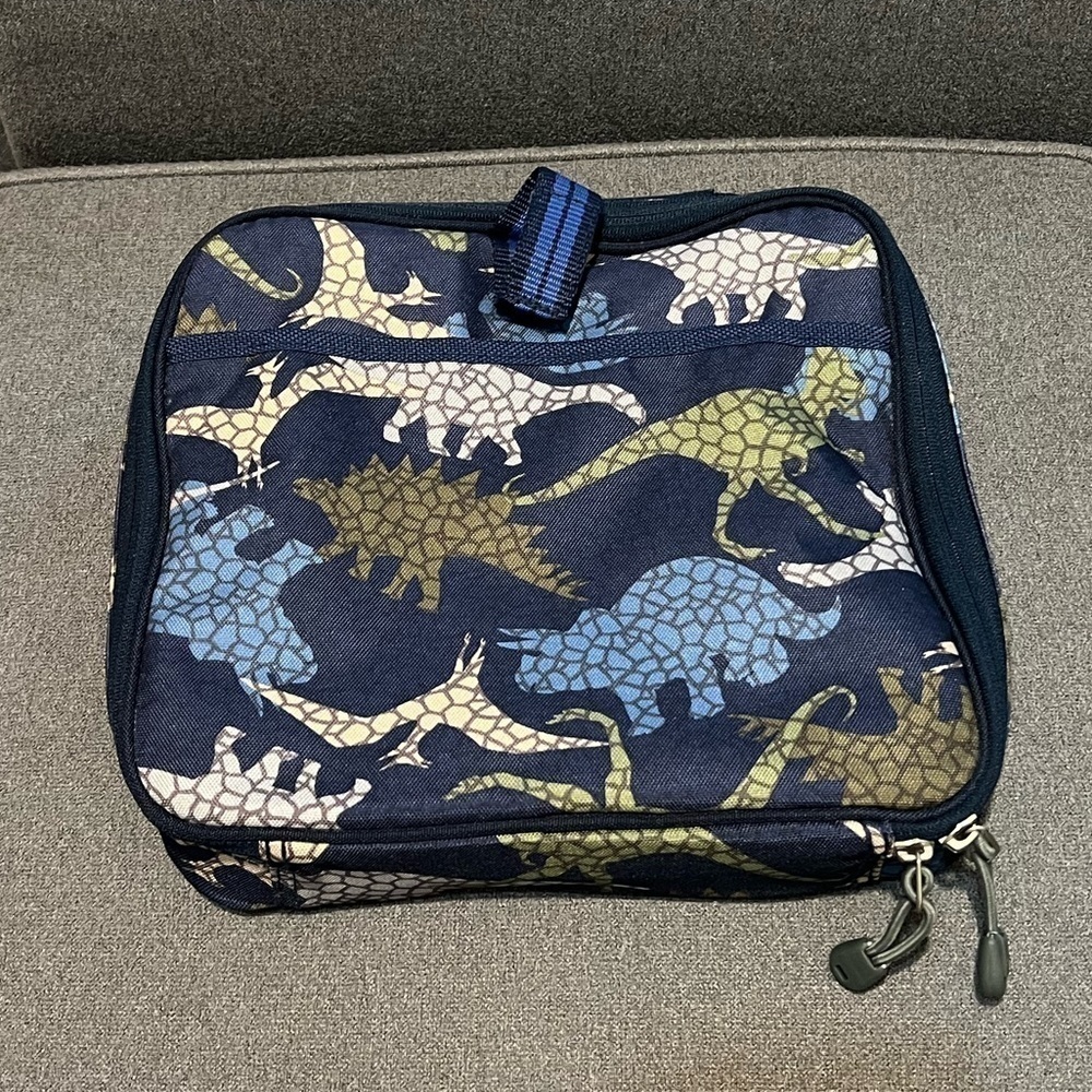 Pottery Barn Kids Dinosaur Mackenzie Handled Travel Case